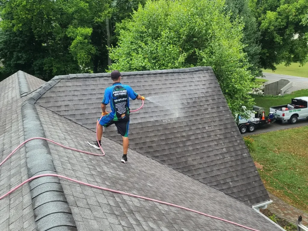 Roof Cleaning Chapel Hill, TN
